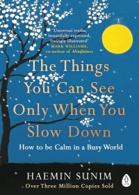 Image of The things you can see only when you slow down : how to be calm in a busy world