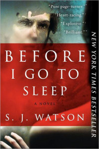 Before i go to sleep : a novel