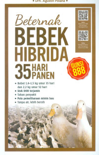 Beternak bebek hibrida 35 hari panen